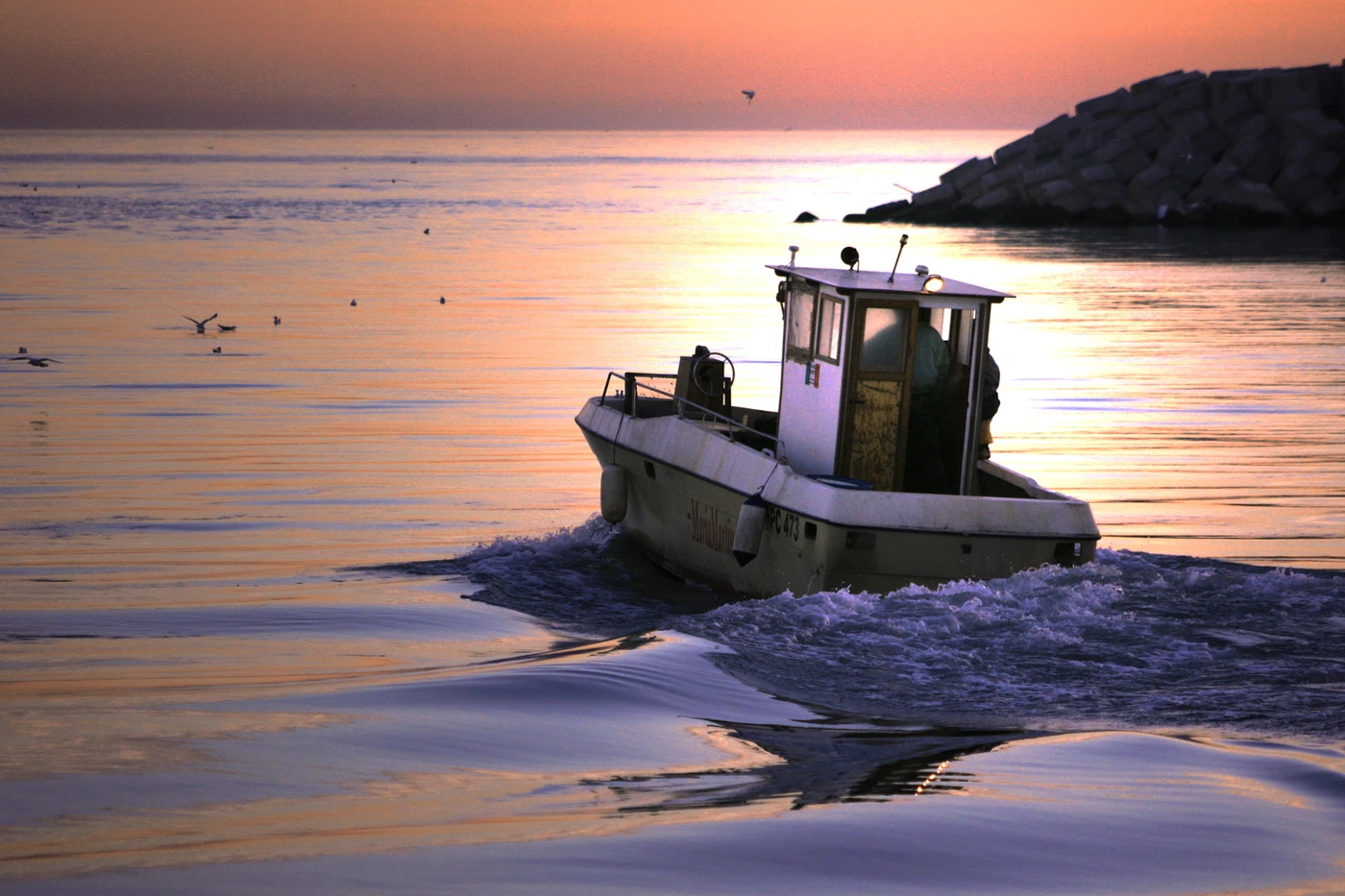 PESCHERECCIO - Open gold by FABRIZIO COSTA, See in the Sea underwater photography contest