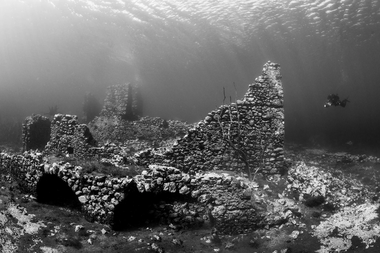Capodacqua Bw - Fresh Waters gold by Pietro Cremone, See in the Sea underwater photography contest