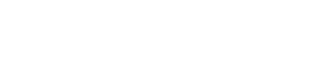 Punto Nave logo