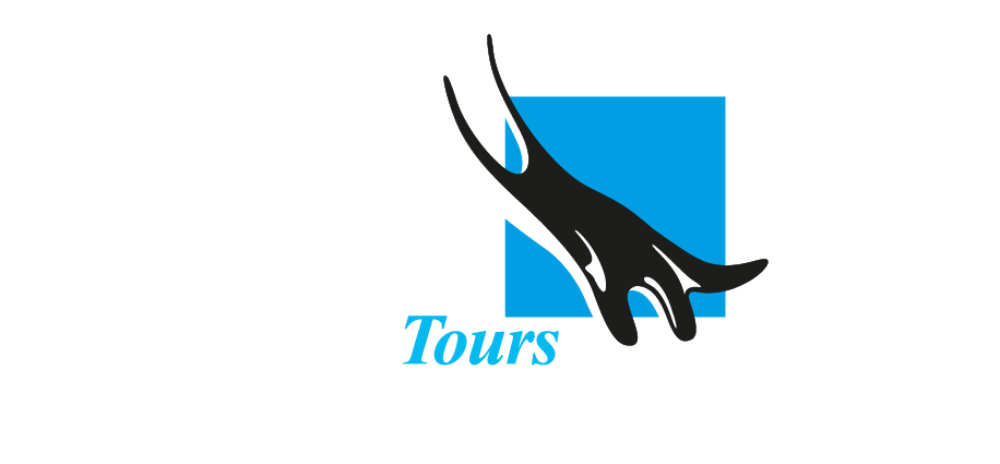undefined logo